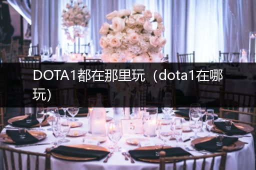 DOTA1都在那里玩（dota1在哪玩）
