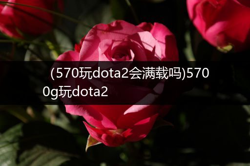 （570玩dota2会满载吗)5700g玩dota2