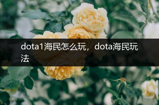 dota1海民怎么玩，dota海民玩法