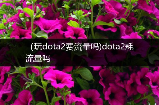 （玩dota2费流量吗)dota2耗流量吗