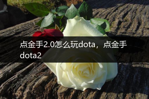 点金手2.0怎么玩dota，点金手 dota2