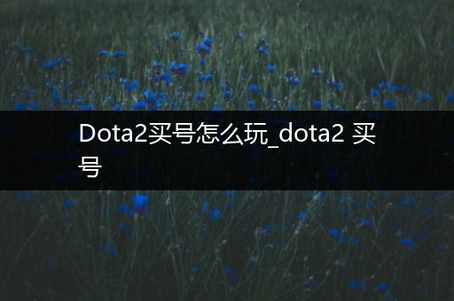 Dota2买号怎么玩_dota2 买号