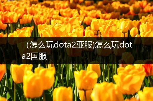 （怎么玩dota2亚服)怎么玩dota2国服
