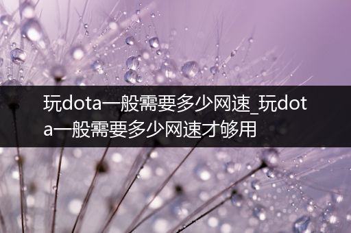 玩dota一般需要多少网速_玩dota一般需要多少网速才够用