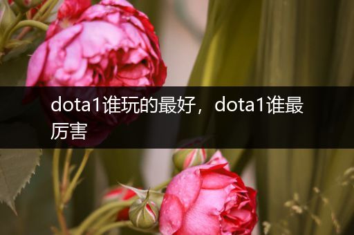 dota1谁玩的最好，dota1谁最厉害