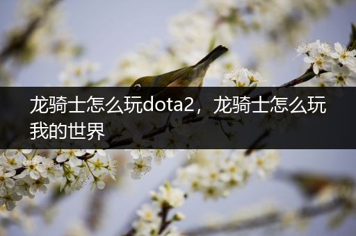 龙骑士怎么玩dota2，龙骑士怎么玩我的世界