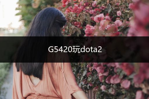 G5420玩dota2