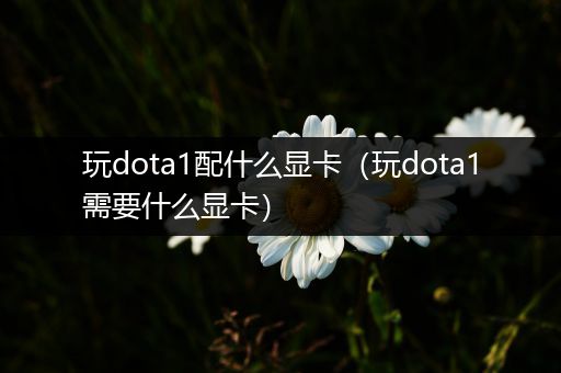 玩dota1配什么显卡（玩dota1需要什么显卡）