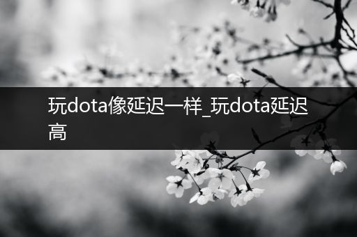 玩dota像延迟一样_玩dota延迟高