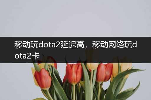 移动玩dota2延迟高，移动网络玩dota2卡