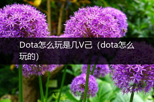 Dota怎么玩是几V己（dota怎么玩的）