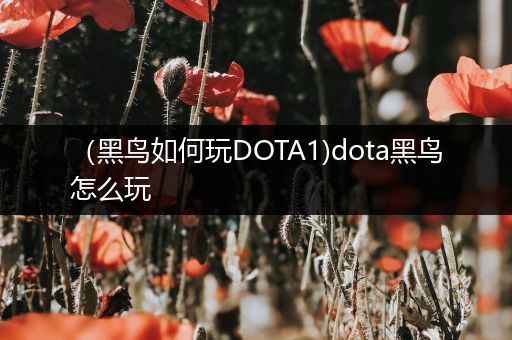 （黑鸟如何玩DOTA1)dota黑鸟怎么玩