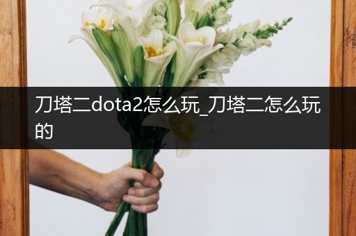 刀塔二dota2怎么玩_刀塔二怎么玩的