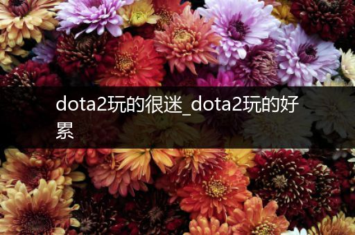 dota2玩的很迷_dota2玩的好累