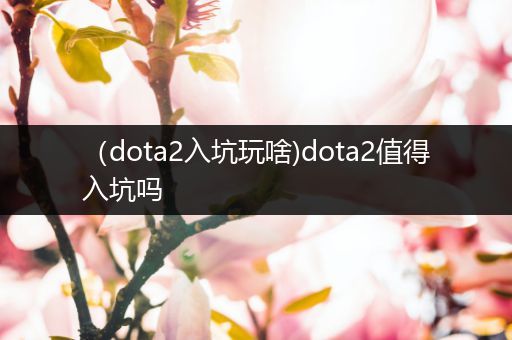 （dota2入坑玩啥)dota2值得入坑吗