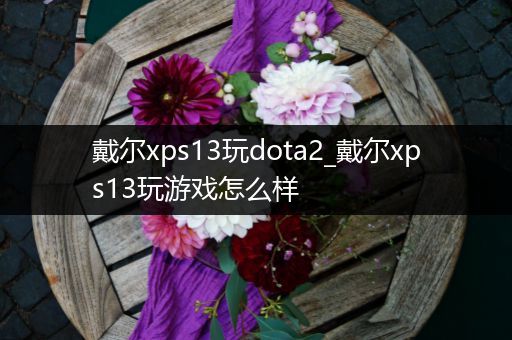 戴尔xps13玩dota2_戴尔xps13玩游戏怎么样