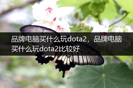 品牌电脑买什么玩dota2，品牌电脑买什么玩dota2比较好