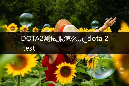 DOTA2测试服怎么玩_dota 2 test