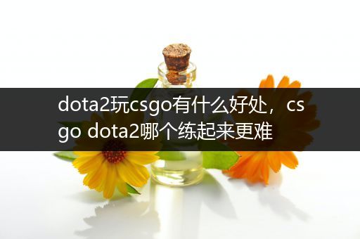 dota2玩csgo有什么好处，csgo dota2哪个练起来更难