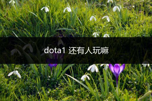 dota1 还有人玩嘛
