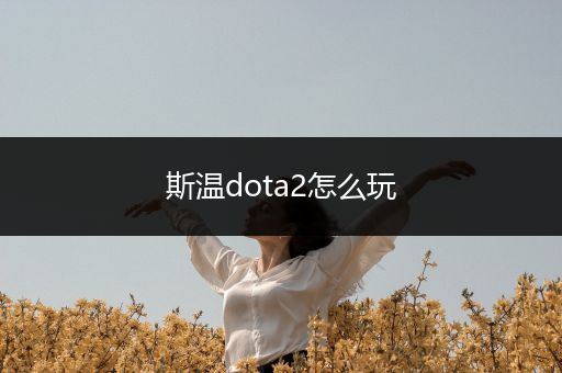 斯温dota2怎么玩