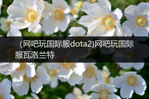 （网吧玩国际服dota2)网吧玩国际服瓦洛兰特