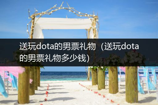 送玩dota的男票礼物（送玩dota的男票礼物多少钱）