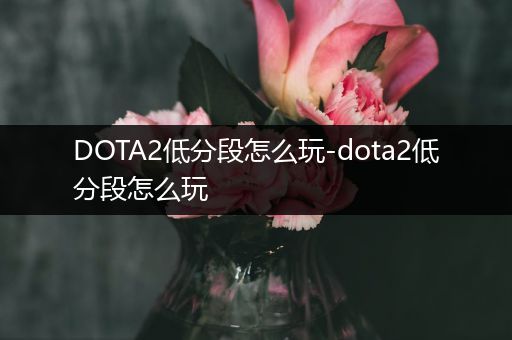 DOTA2低分段怎么玩-dota2低分段怎么玩