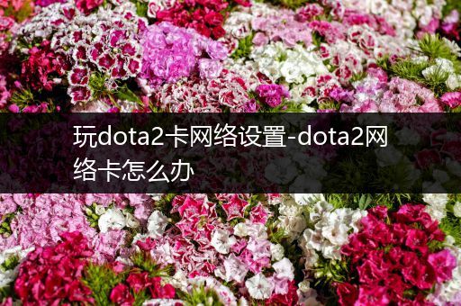 玩dota2卡网络设置-dota2网络卡怎么办