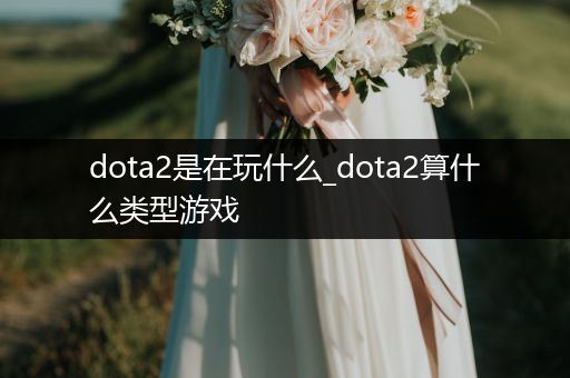 dota2是在玩什么_dota2算什么类型游戏