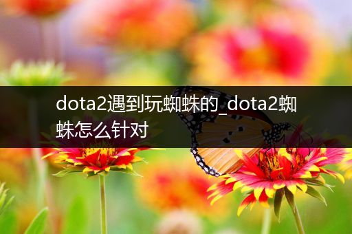 dota2遇到玩蜘蛛的_dota2蜘蛛怎么针对