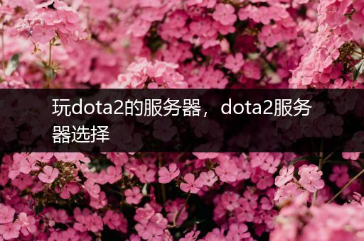 玩dota2的服务器，dota2服务器选择