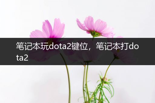 笔记本玩dota2键位，笔记本打dota2