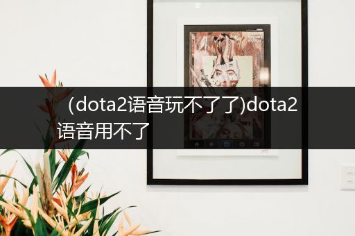 （dota2语音玩不了了)dota2语音用不了