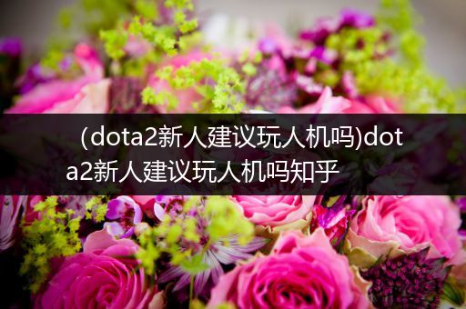 （dota2新人建议玩人机吗)dota2新人建议玩人机吗知乎