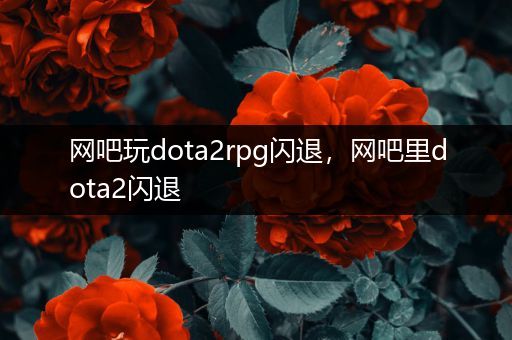 网吧玩dota2rpg闪退，网吧里dota2闪退