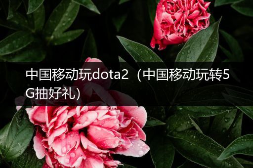 中国移动玩dota2（中国移动玩转5G抽好礼）