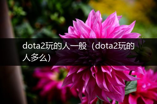 dota2玩的人一般（dota2玩的人多么）