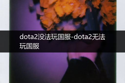 dota2没法玩国服-dota2无法玩国服