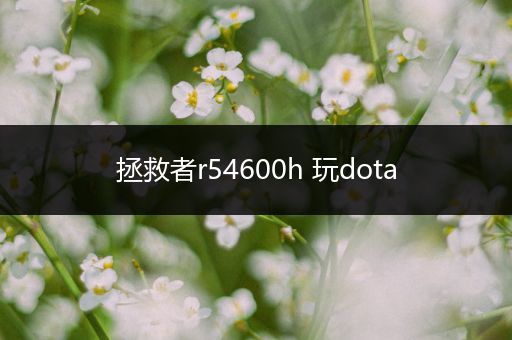 拯救者r54600h 玩dota