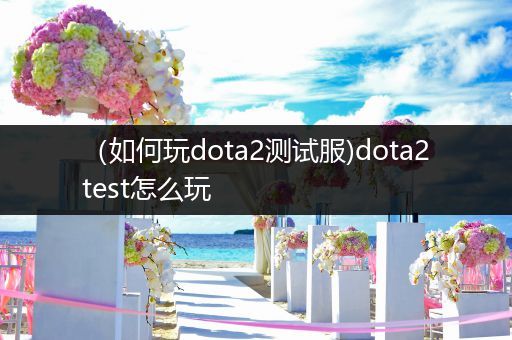 （如何玩dota2测试服)dota2test怎么玩