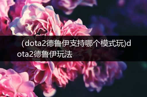 （dota2德鲁伊支持哪个模式玩)dota2德鲁伊玩法