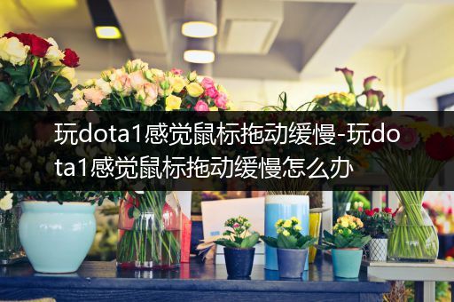 玩dota1感觉鼠标拖动缓慢-玩dota1感觉鼠标拖动缓慢怎么办