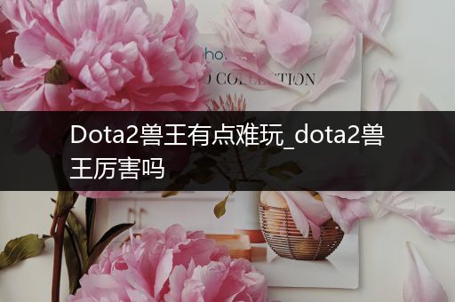 Dota2兽王有点难玩_dota2兽王厉害吗