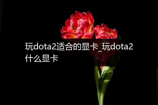 玩dota2适合的显卡_玩dota2什么显卡