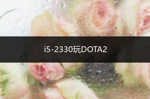 i5-2330玩DOTA2