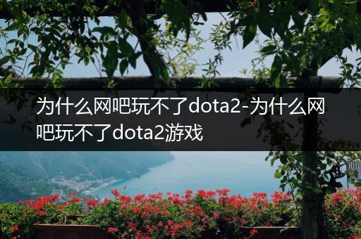 为什么网吧玩不了dota2-为什么网吧玩不了dota2游戏