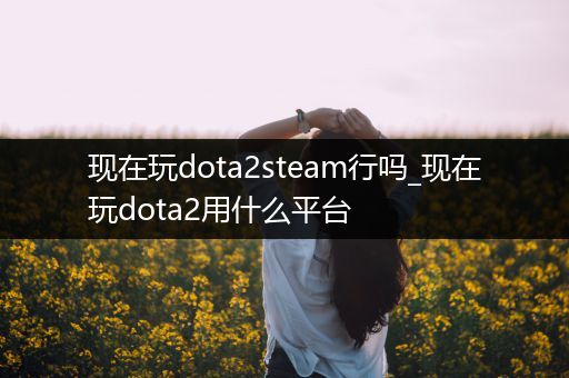 现在玩dota2steam行吗_现在玩dota2用什么平台