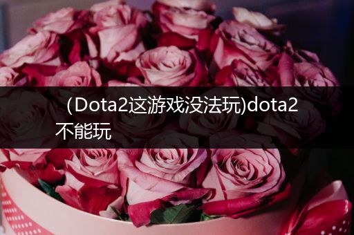 （Dota2这游戏没法玩)dota2不能玩