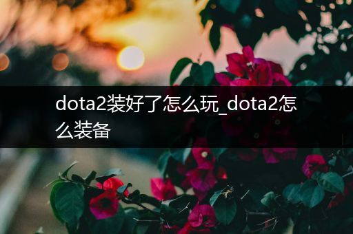 dota2装好了怎么玩_dota2怎么装备